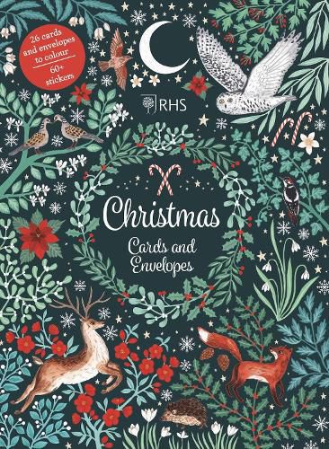 Cover image for Christmas Cards and Envelopes