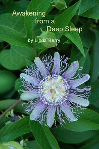 Cover image for Awakening from A Deep Sleep