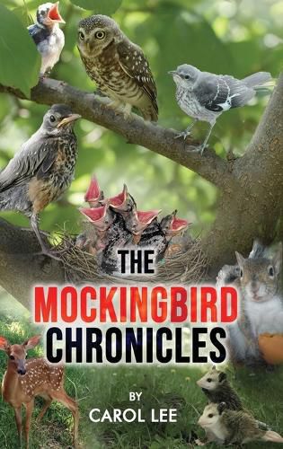 Cover image for The Mockingbird Chronicles