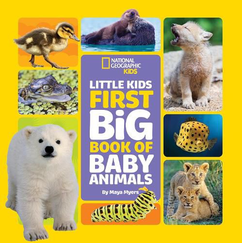 Cover image for Little Kids First Big Book of Baby Animals