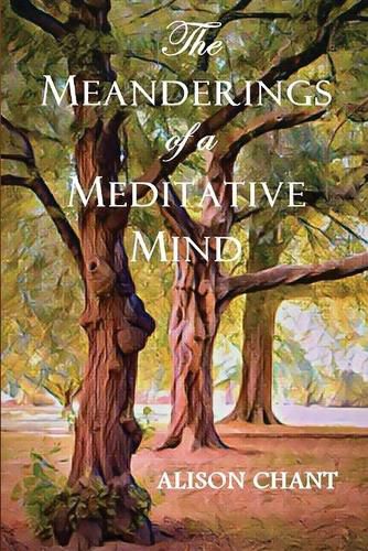 Cover image for The Meanderings of a Meditative Mind