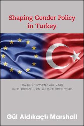 Cover image for Shaping Gender Policy in Turkey: Grassroots Women Activists, the European Union, and the Turkish State