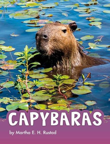 Cover image for Capybaras