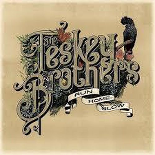 Cover image for Run Home Slow - The Teskey Brothers *** Vinyl