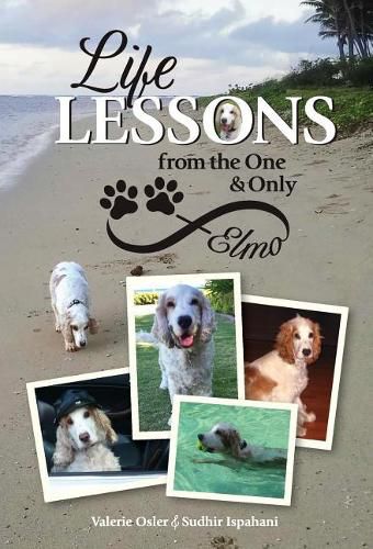 Cover image for Life Lessons from the One and Only Elmo