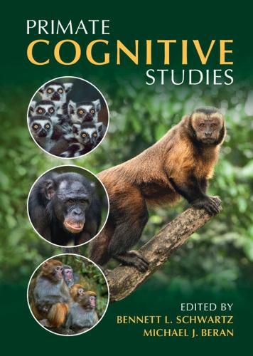 Primate Cognitive Studies