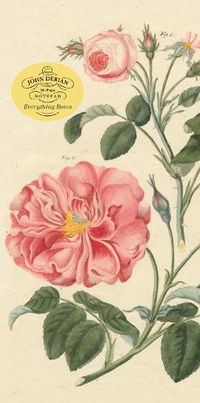 Cover image for John Derian Paper Goods: Everything Roses Notepad