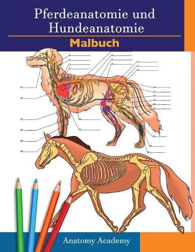 Cover image for Farbbuch fur Pferde- und Hundeanatomie: 2-in-1 Zusammenstellung Unglaublich detailliertes Arbeitsbuch zum Selbsttest fur Pferde- und Hundeanatomie Perfektes Geschenk fur Tiermedizinstudenten, Tierliebhaber und Erwachsene