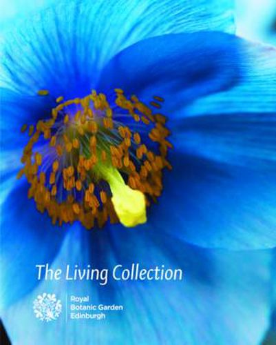 Cover image for The Living Collection