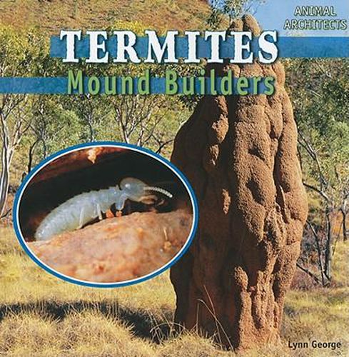 Termites