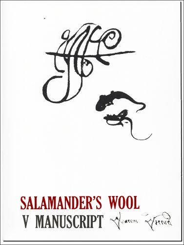 Cover image for Salamander's Wool