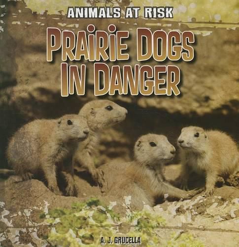 Cover image for Prairie Dogs in Danger