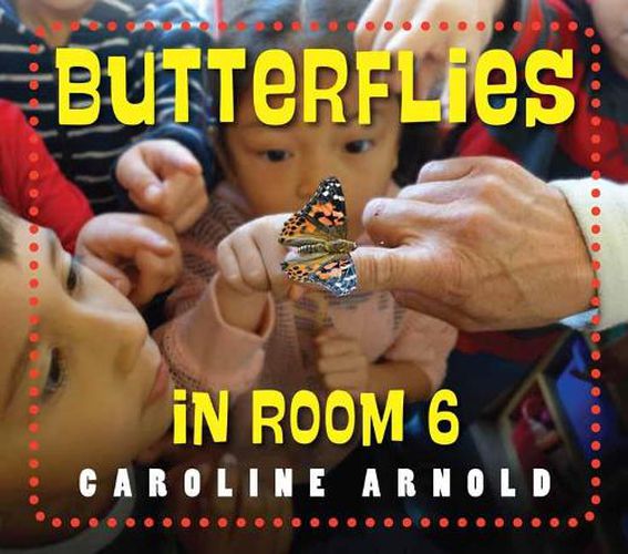 Cover image for Butterflies in Room 6