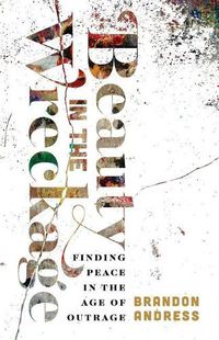 Cover image for Beauty in the Wreckage: Finding Peace in the Age of Outrage