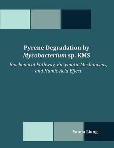 Cover image for Pyrene Degradation by Mycobacterium sp. KMS: Biochemical Pathway, Enzymatic Mechanisms, and Humic Acid Effect