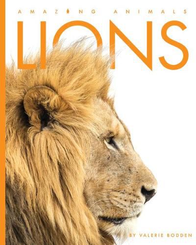 Cover image for Lions