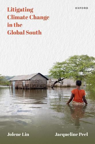 Cover image for Litigating Climate Change in the Global South