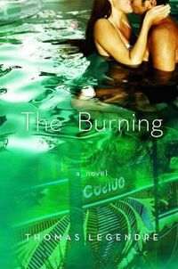 Cover image for The Burning