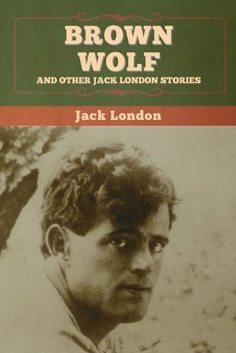 Cover image for Brown Wolf and Other Jack London Stories