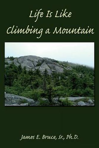 Cover image for Life Is Like Climbing a Mountain