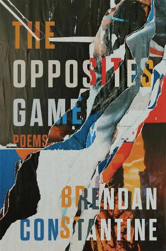 Cover image for The Opposites Game