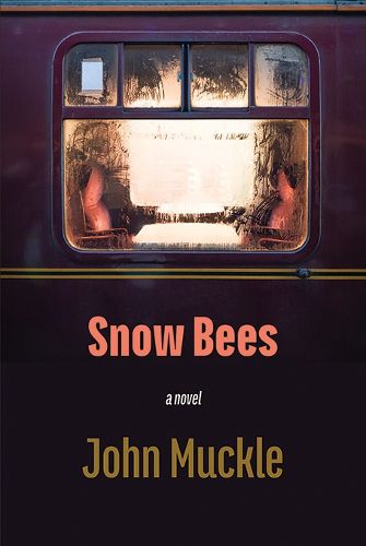 Cover image for Snow Bees