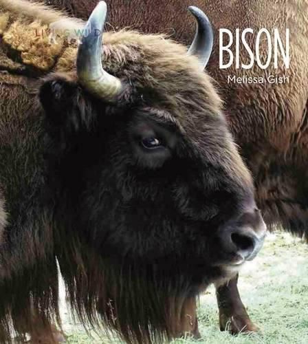 Cover image for Living Wild: Bison