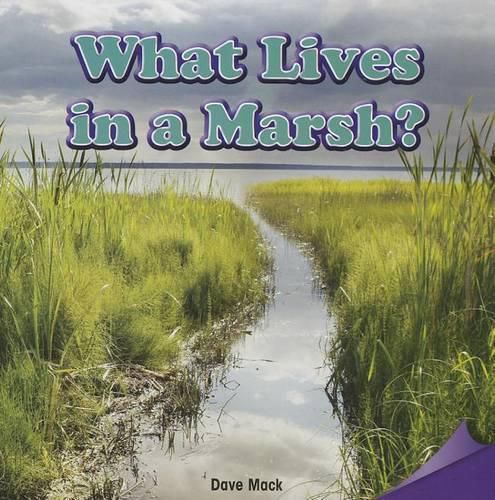 Cover image for What Lives in a Marsh?