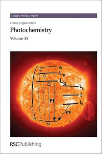 Cover image for Photochemistry: Volume 38