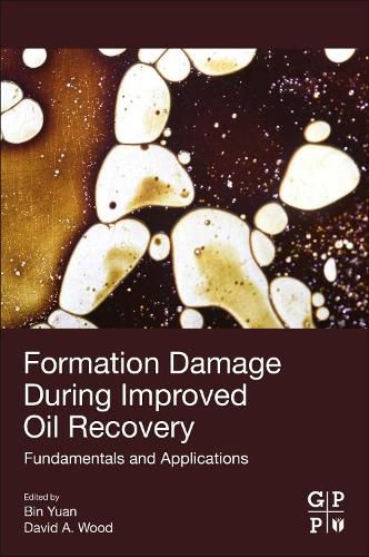 Cover image for Formation Damage during Improved Oil Recovery: Fundamentals and Applications