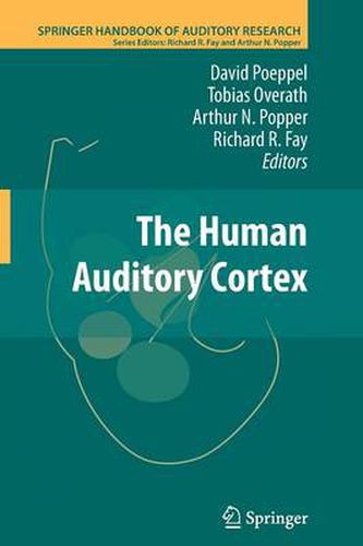 Cover image for The Human Auditory Cortex