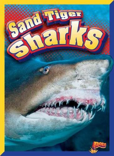 Cover image for Sand Tiger Sharks