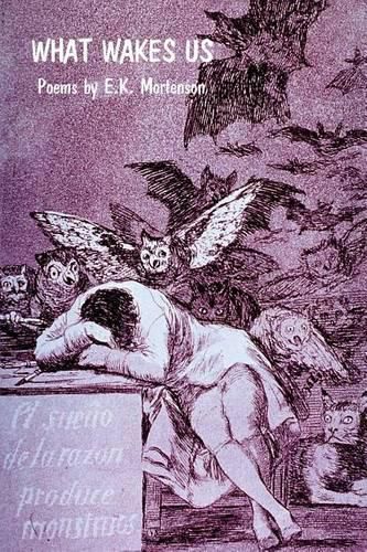 Cover image for What Wakes Us