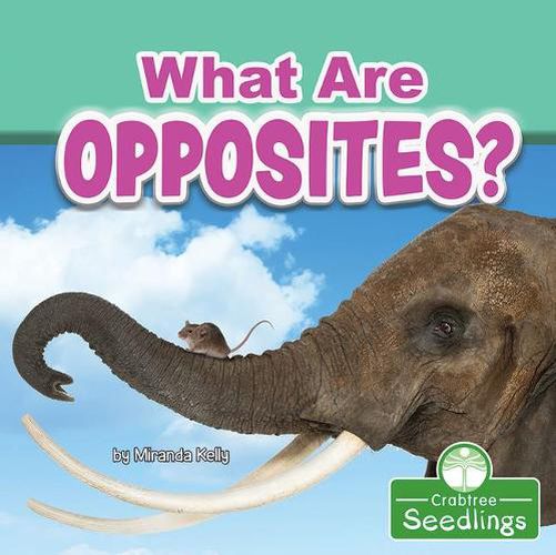 What Are Opposites?