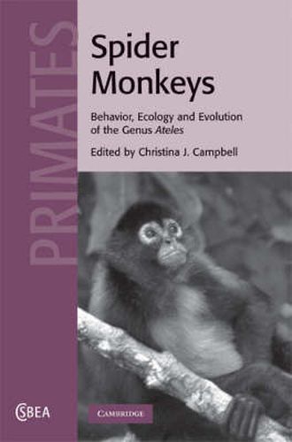 Cover image for Spider Monkeys: Behavior, Ecology and Evolution of the Genus Ateles