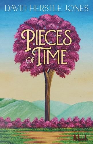 Cover image for Pieces of Time