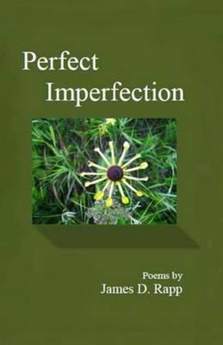 Cover image for Perfect Imperfection