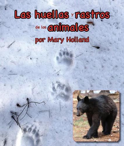 Cover image for Las Huellas Y Rastros de Los Animales: (Animal Tracks and Traces in Spanish)