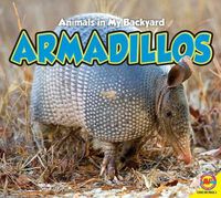 Cover image for Armadillos