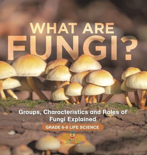 What are Fungi? Groups, Characteristics and Roles of Fungi Explained Grade 6-8 Life Science