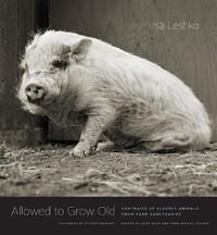 Cover image for Allowed to Grow Old: Portraits of Elderly Animals from Farm Sanctuaries