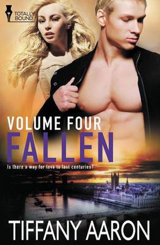 Cover image for Fallen Volume Four