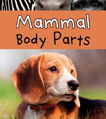 Cover image for Mammal Body Parts