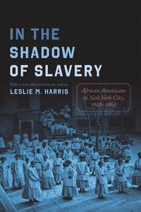 Cover image for In the Shadow of Slavery