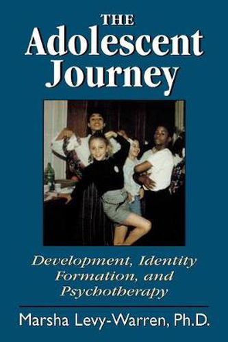 Cover image for The Adolescent Journey