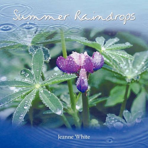 Cover image for Summer Raindrops