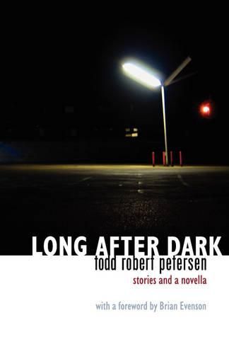 Cover image for Long After Dark