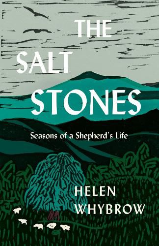 Cover image for The Salt Stones