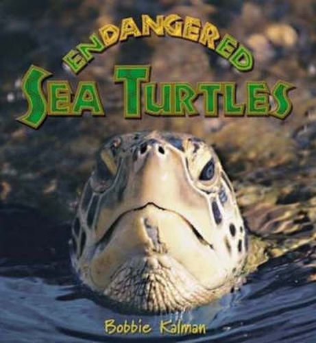 Cover image for Endangered Sea Turtles