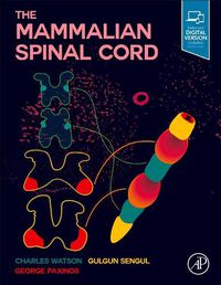 Cover image for The Mammalian Spinal Cord